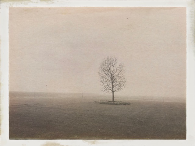 Zen.nl, Zen, meditatie, leren mediteren, foto